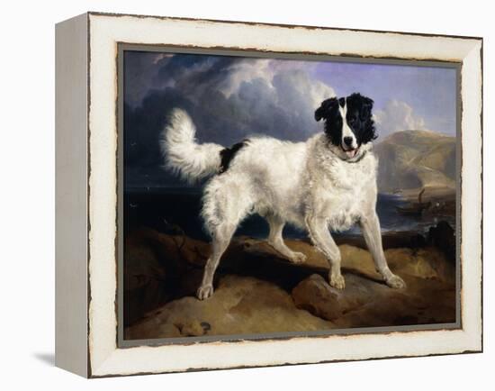 A Portrait of Neptune-Edwin Henry Landseer-Framed Premier Image Canvas