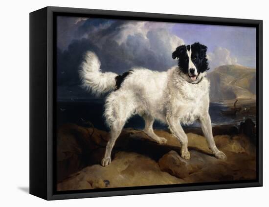 A Portrait of Neptune-Edwin Henry Landseer-Framed Premier Image Canvas