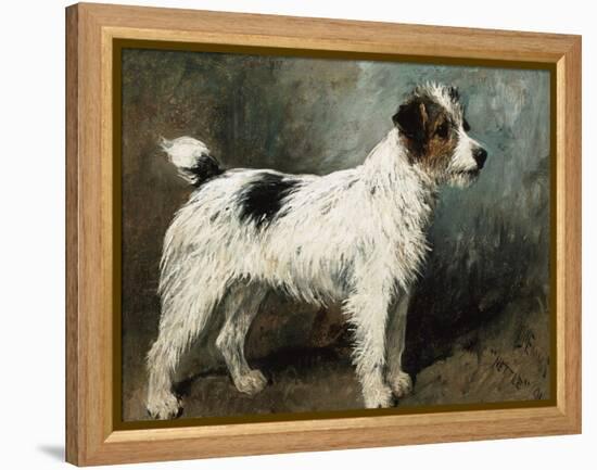 A Portrait of Nettle, a Terrier-John Emms-Framed Premier Image Canvas