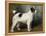 A Portrait of Nettle, a Terrier-John Emms-Framed Premier Image Canvas