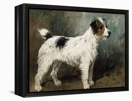 A Portrait of Nettle, a Terrier-John Emms-Framed Premier Image Canvas