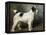 A Portrait of Nettle, a Terrier-John Emms-Framed Premier Image Canvas