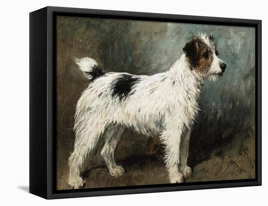 A Portrait of Nettle, a Terrier-John Emms-Framed Premier Image Canvas