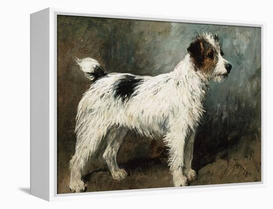 A Portrait of Nettle, a Terrier-John Emms-Framed Premier Image Canvas