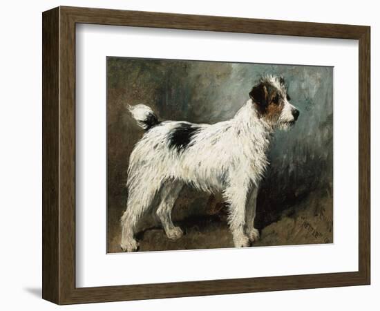 A Portrait of Nettle, a Terrier-John Emms-Framed Giclee Print