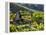 A Portuguese Woman Picks Grapes During the September Wine Harvest in Douro Valley, Portugal-Camilla Watson-Framed Premier Image Canvas