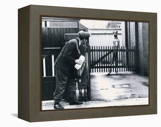 A Postman Hides Behind a Wall, Scared of a Great Dane Dog Leaning on the Fence of the House-null-Framed Premier Image Canvas