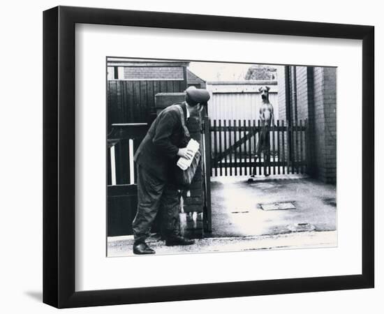 Photographic Print, , large