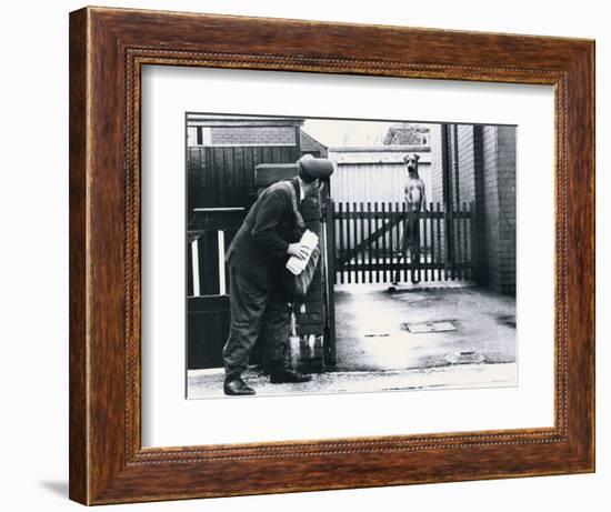 A Postman Hides Behind a Wall, Scared of a Great Dane Dog Leaning on the Fence of the House-null-Framed Photographic Print