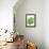 A Pot of Basil-Marc O^ Finley-Framed Premier Image Canvas displayed on a wall