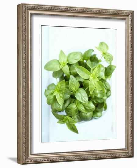 A Pot of Basil-Marc O^ Finley-Framed Photographic Print