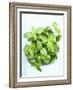 A Pot of Basil-Marc O^ Finley-Framed Photographic Print