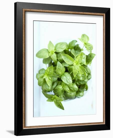 A Pot of Basil-Marc O^ Finley-Framed Photographic Print