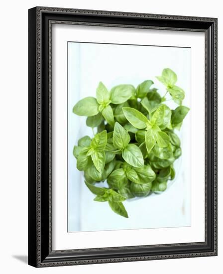 A Pot of Basil-Marc O^ Finley-Framed Photographic Print