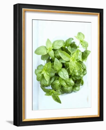 A Pot of Basil-Marc O^ Finley-Framed Photographic Print