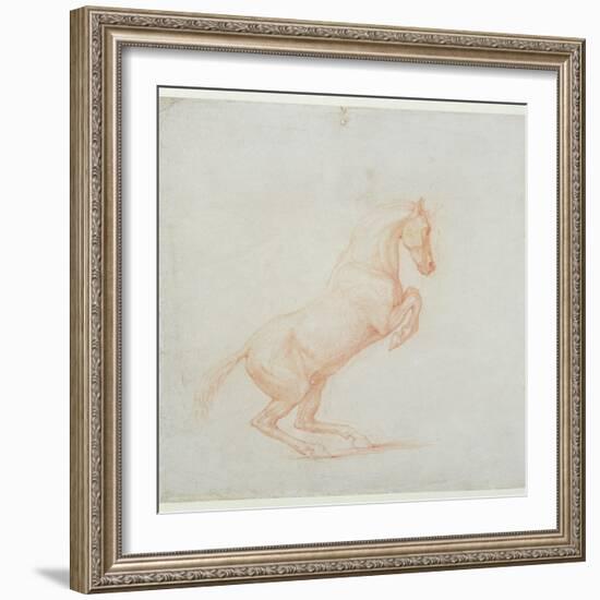 A Prancing Horse, Facing Right, 1790 (Red Chalk on Paper)-George Stubbs-Framed Giclee Print