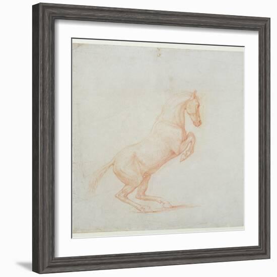 A Prancing Horse, Facing Right, 1790 (Red Chalk on Paper)-George Stubbs-Framed Giclee Print