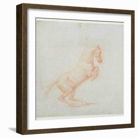 A Prancing Horse, Facing Right, 1790 (Red Chalk on Paper)-George Stubbs-Framed Giclee Print