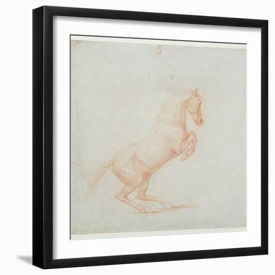 A Prancing Horse, Facing Right, 1790 (Red Chalk on Paper)-George Stubbs-Framed Giclee Print