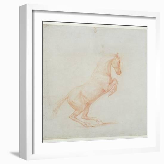 A Prancing Horse, Facing Right, 1790 (Red Chalk on Paper)-George Stubbs-Framed Giclee Print