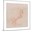 A Prancing Horse, Facing right-George Stubbs-Mounted Premium Giclee Print