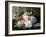 A Pretty Still Life of Roses, Rhododendron, and Passionflowers-John Wainwright-Framed Giclee Print