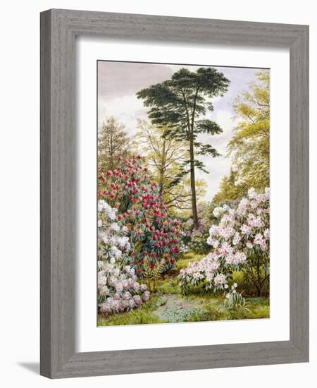 A Pretty Woodland Garden-Marian Emma Chase-Framed Giclee Print