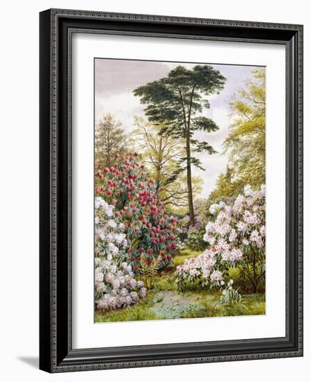 A Pretty Woodland Garden-Marian Emma Chase-Framed Giclee Print