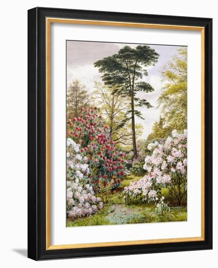 A Pretty Woodland Garden-Marian Emma Chase-Framed Giclee Print