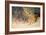 A Pride of Lions on the Prowl (Oil on Canvas)-Wilhelm Kuhnert-Framed Giclee Print