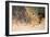 A Pride of Lions on the Prowl (Oil on Canvas)-Wilhelm Kuhnert-Framed Giclee Print