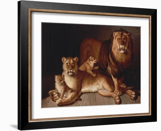 A Pride of Lions-Edward S. Curtis-Framed Giclee Print