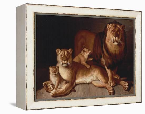 A Pride of Lions-Edward S. Curtis-Framed Premier Image Canvas