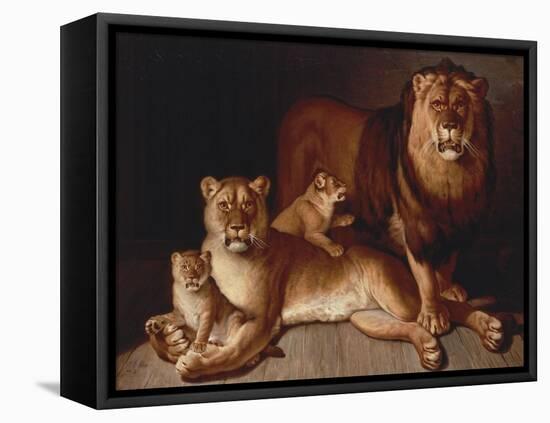 A Pride of Lions-Edward S. Curtis-Framed Premier Image Canvas