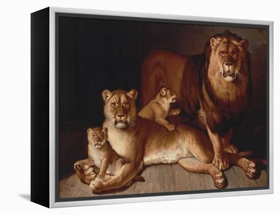 A Pride of Lions-Edward S. Curtis-Framed Premier Image Canvas