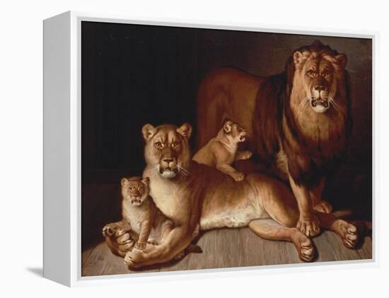 A Pride of Lions-Edward S. Curtis-Framed Premier Image Canvas