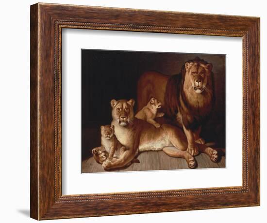 A Pride of Lions-Edward S. Curtis-Framed Premium Giclee Print