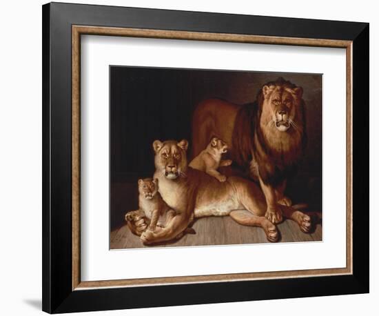 A Pride of Lions-Edward S. Curtis-Framed Giclee Print