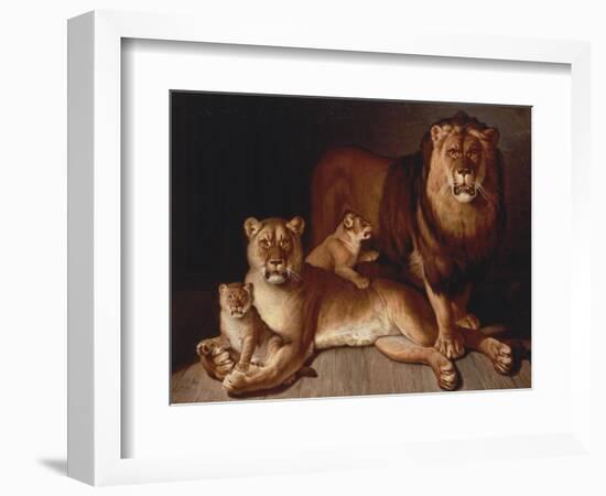 A Pride of Lions-Edward S. Curtis-Framed Giclee Print