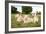 A Pride Of White Lions Sitting In The Grass With One Lioness Yawning. South Africa-Karine Aigner-Framed Photographic Print