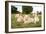 A Pride Of White Lions Sitting In The Grass With One Lioness Yawning. South Africa-Karine Aigner-Framed Photographic Print