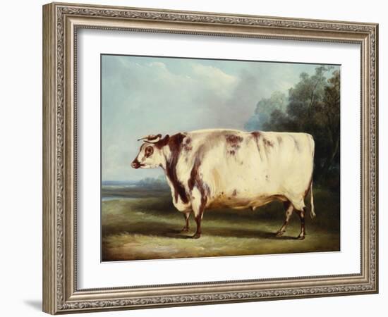 A Prize Bull, 1839-William Henry Davis-Framed Giclee Print