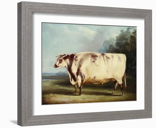 A Prize Bull, 1839-William Henry Davis-Framed Giclee Print