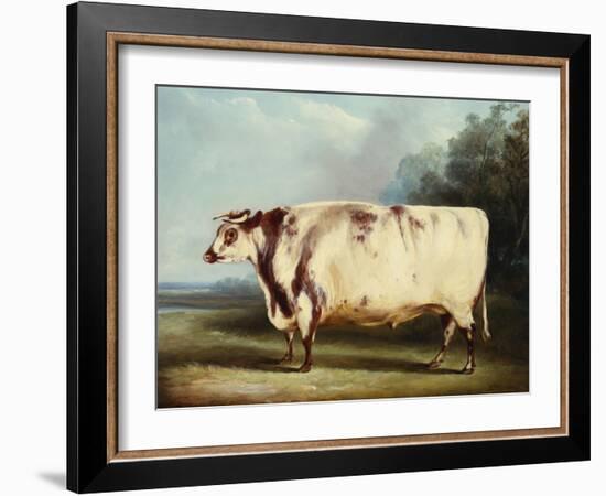 A Prize Bull, 1839-William Henry Davis-Framed Giclee Print