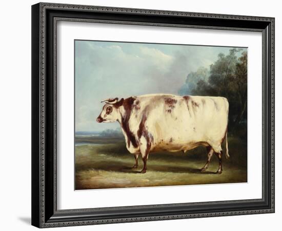 A Prize Bull, 1839-William Henry Davis-Framed Giclee Print