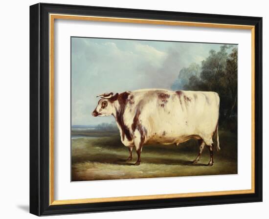 A Prize Bull, 1839-William Henry Davis-Framed Giclee Print