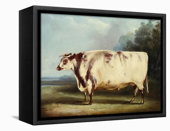 A Prize Bull-William Henry Davis-Framed Premier Image Canvas