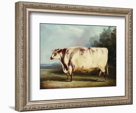 A Prize Bull-William Henry Davis-Framed Giclee Print