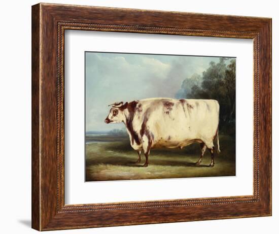 A Prize Bull-William Henry Davis-Framed Giclee Print