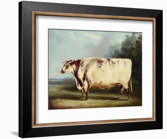 A Prize Bull-William Henry Davis-Framed Giclee Print